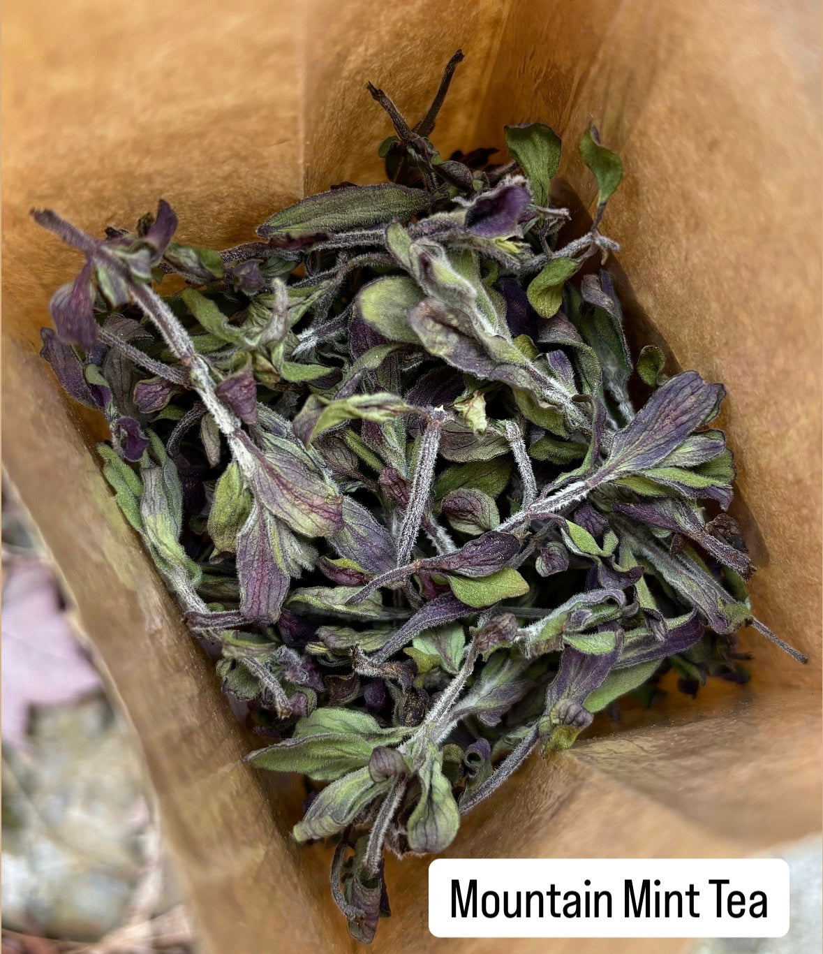 Mountain Mint Tea