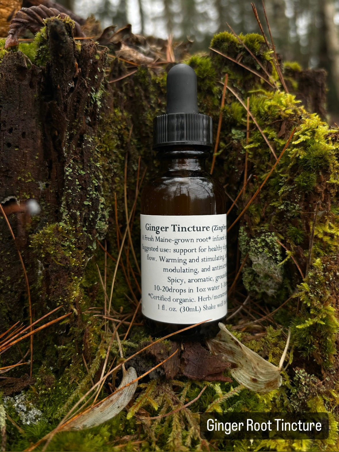 Ginger Tincture