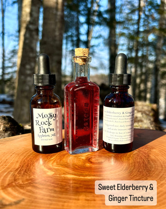 Sweet Elderberry & Ginger Tincture