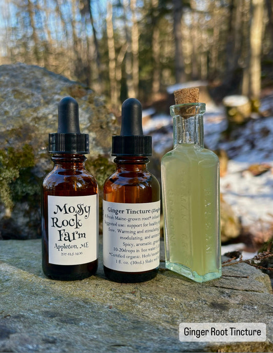 Ginger Tincture