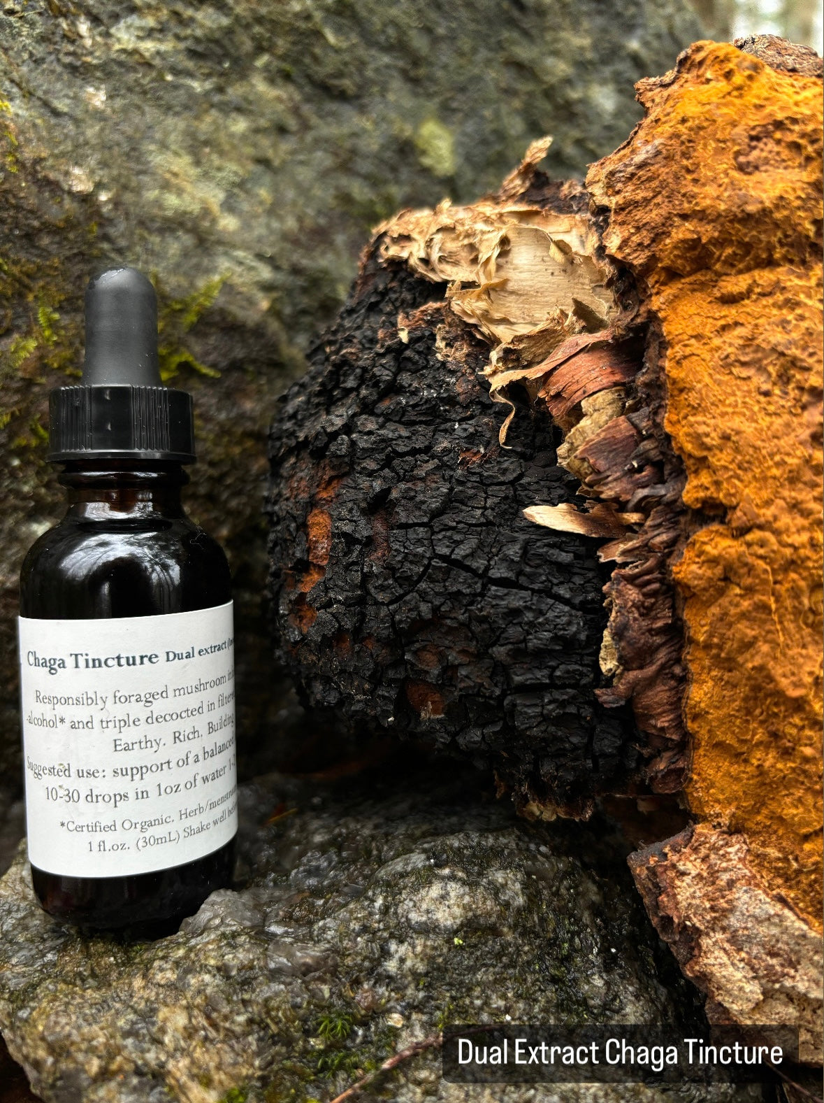 Dual Extract Chaga Tincture