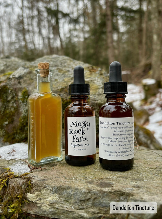 Dandelion Tincture