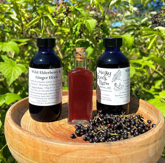 Wild Elderberry & Ginger Elixir