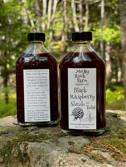 Black Raspberry & Tulsi Shrub