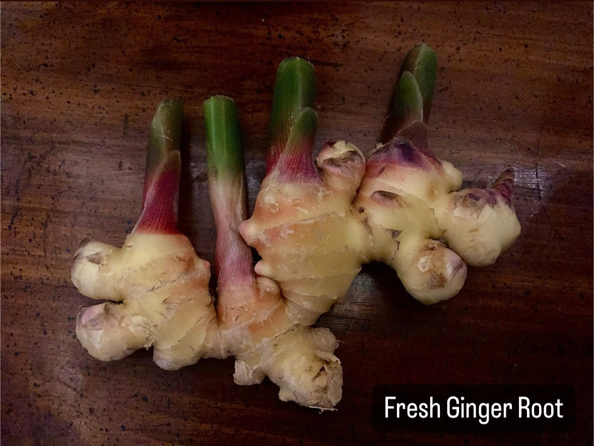 Ginger Tincture