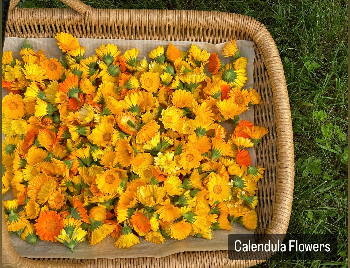 Calendula Tincture