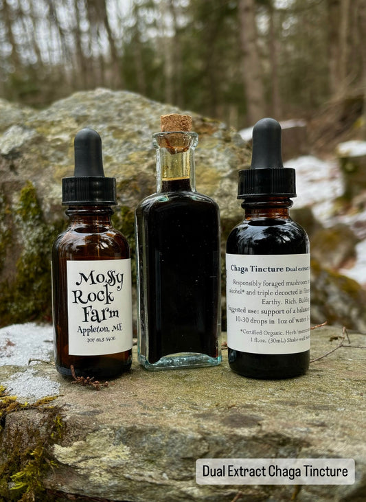 Dual Extract Chaga Tincture