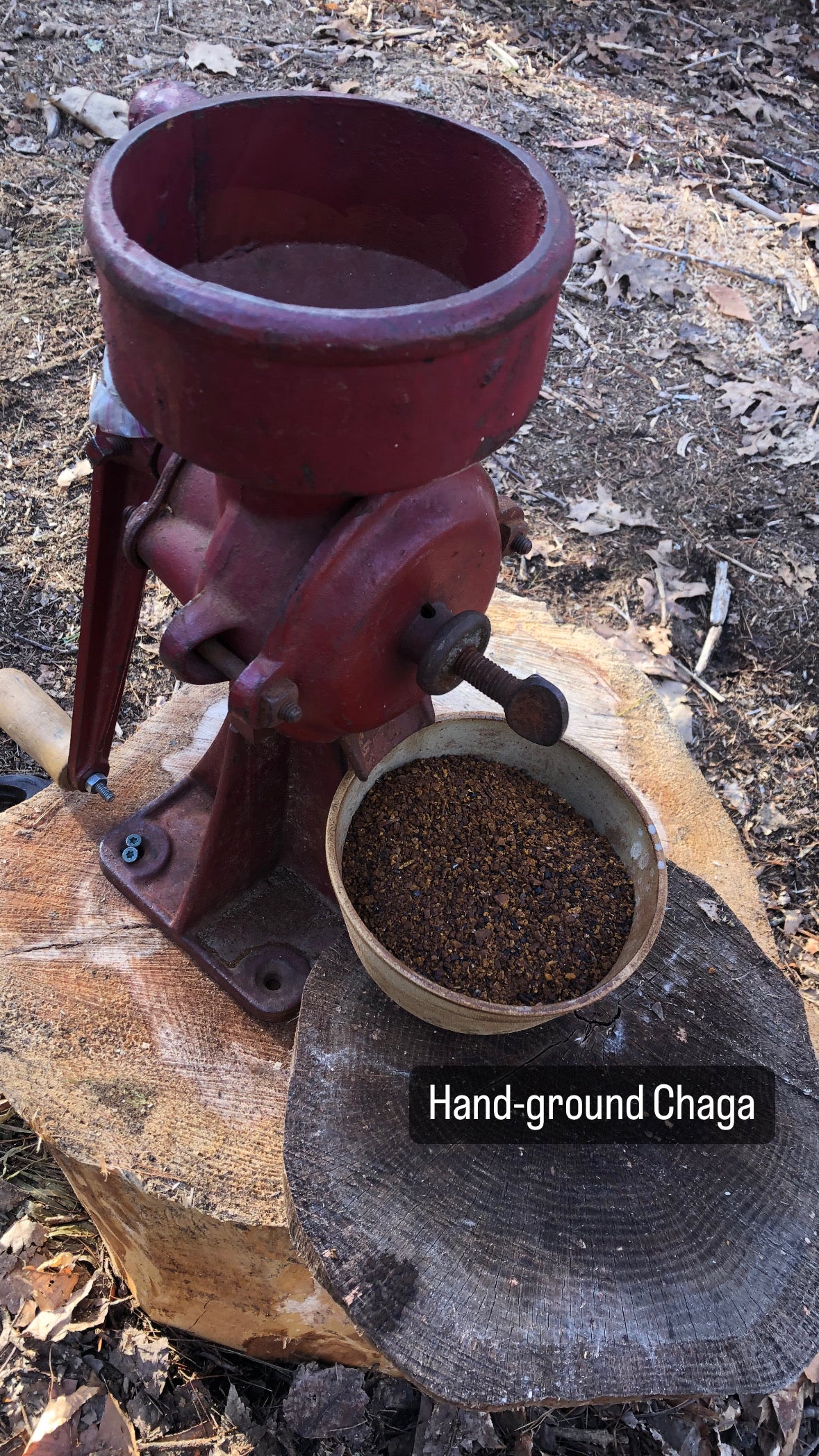 Dual Extract Chaga Tincture